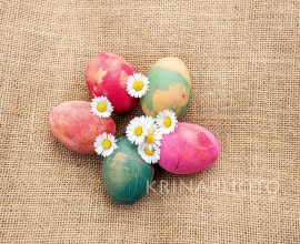 Natural coloured eggs with daisies on jute fabric background.