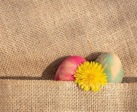 Delicate springtime colours. Fuchsia and light blue colored eggs with a yellow dandelion partially wrapped in a jute fabric.